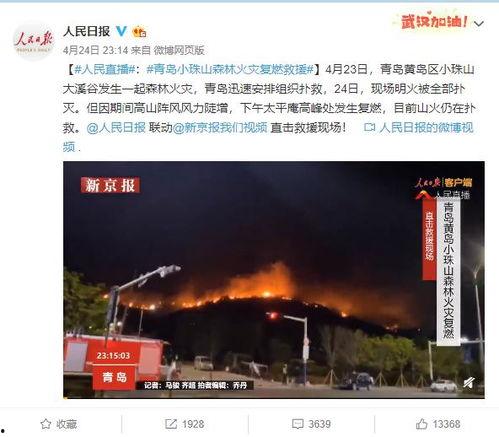 最新爆料新闻23,揭秘23年惊天大事件内幕